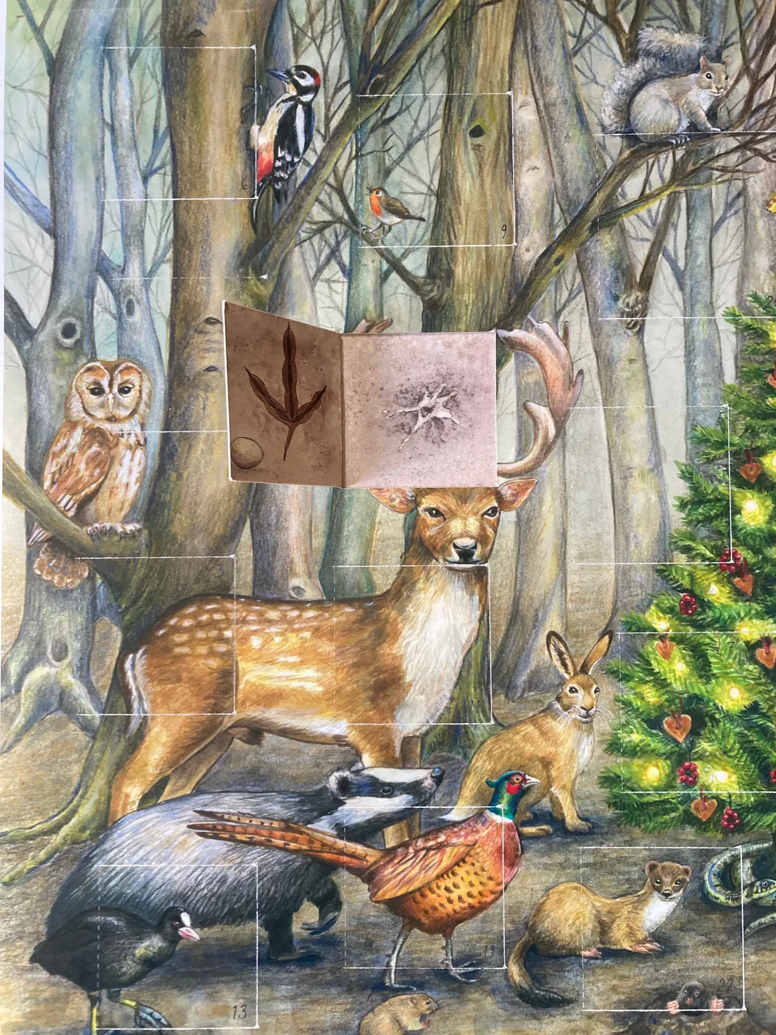 Helena Perry Whose Poo calendrier avent forêt