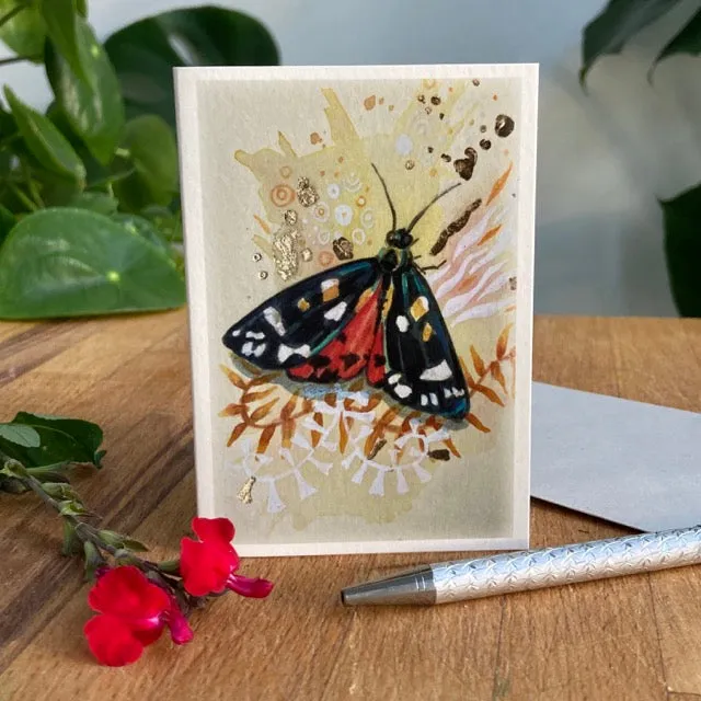 Helena Perry Moth cartes de vœux A7 lot de 5 papillons
