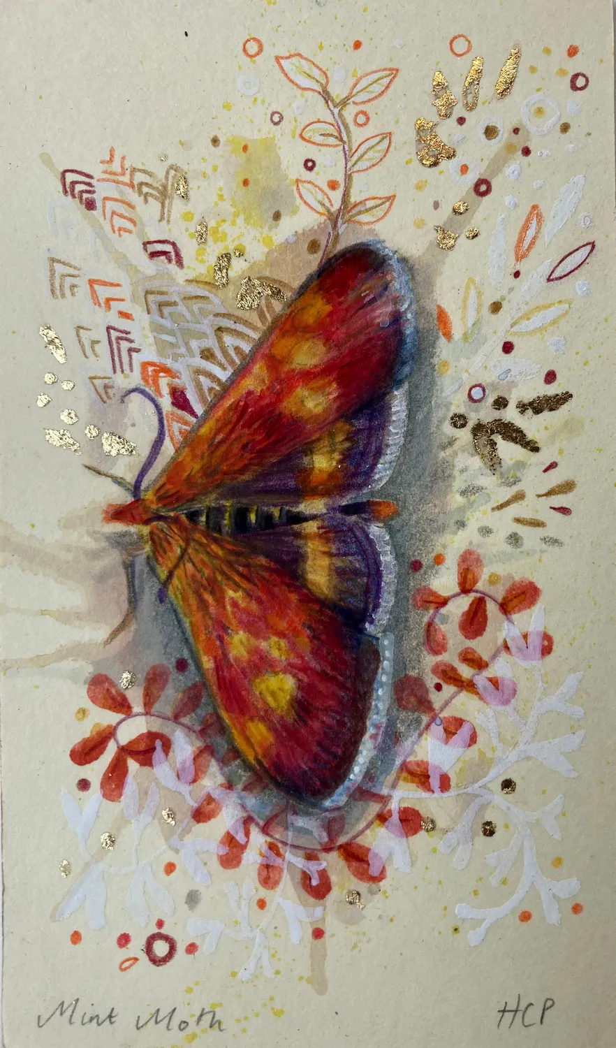 Helena Perry Mint Moth miniature aquarelle non encadrée