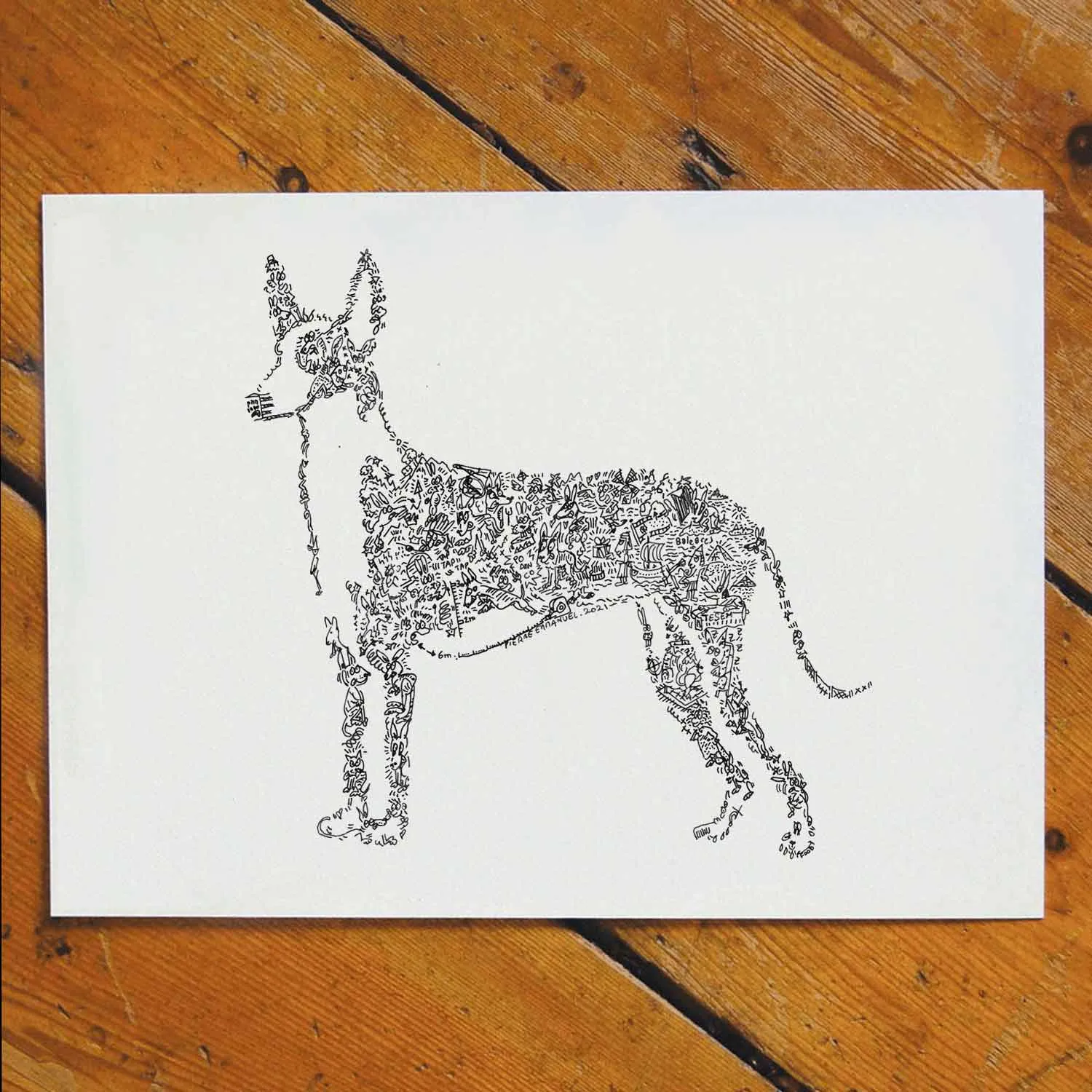 DrawInside Ibizan Hound Podenco affiche A4 21x30 cm chien