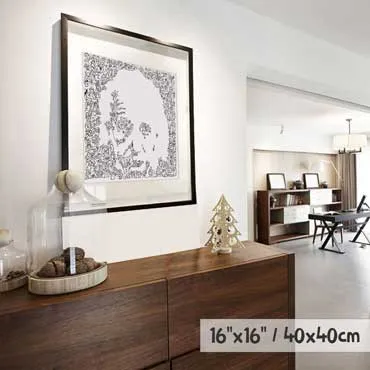 DrawInside Albert Einstein affiche 30x30 cm scientifique