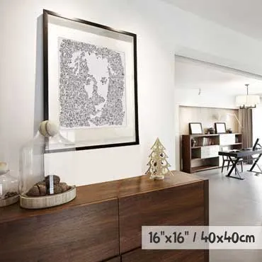 DrawInside Albert Einstein affiche 20x20 cm récit dessiné