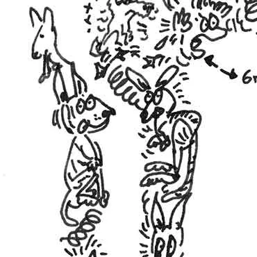 DrawInside Ibizan Hound Podenco affiche A4 21x30 cm chien