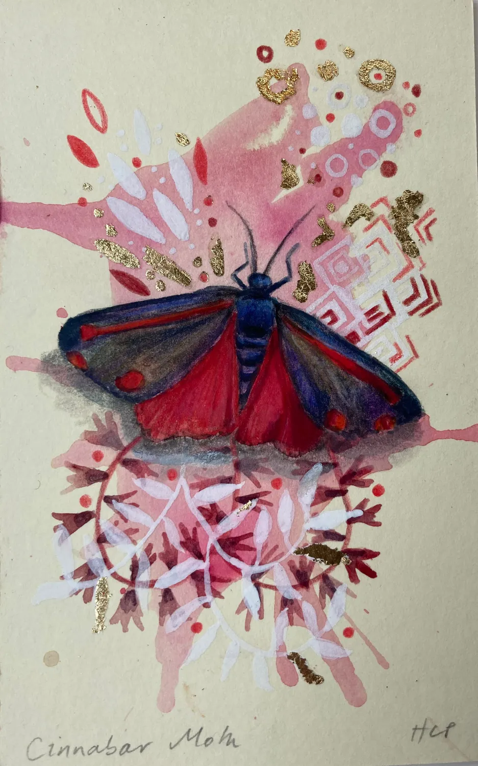 Helena Perry Cinnabar Moth miniature 8,5x13,5cm non encadrée