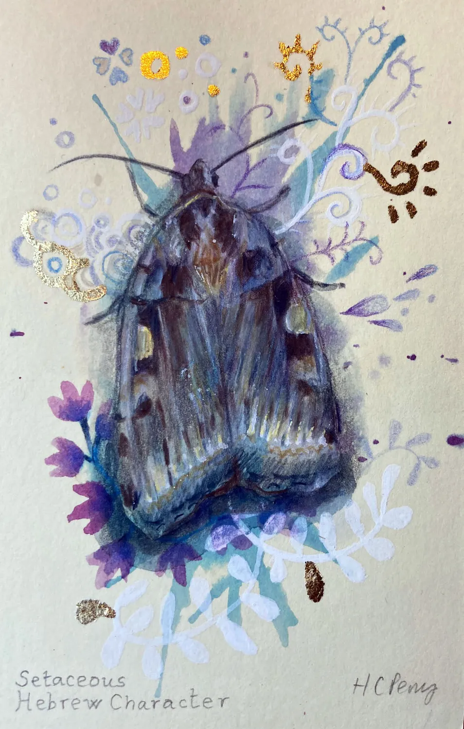 Helena Perry Setaceous Hebrew Moth miniature 8,5x13,5 non encadrée