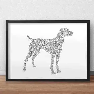 DrawInside Hungarian Vizsla affiche A4 chien velcro