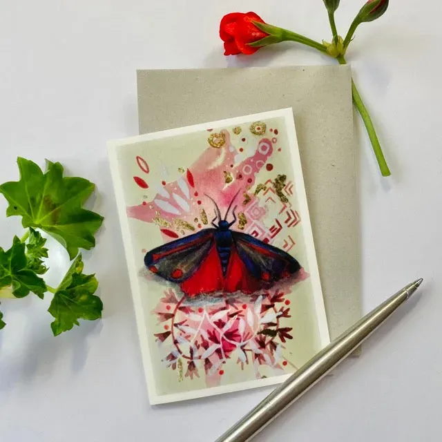 Helena Perry A7 Moth carte papillon petit format lot Cinnabar