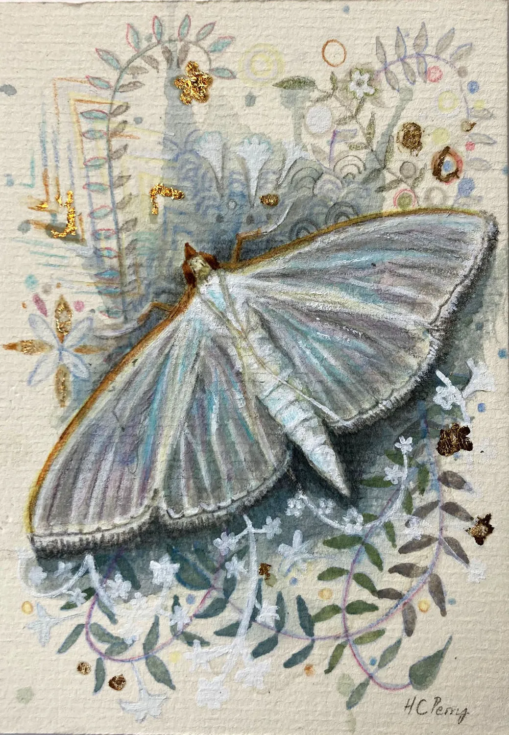 Helena Perry Jasmine Moth miniature aquarelle non encadrée