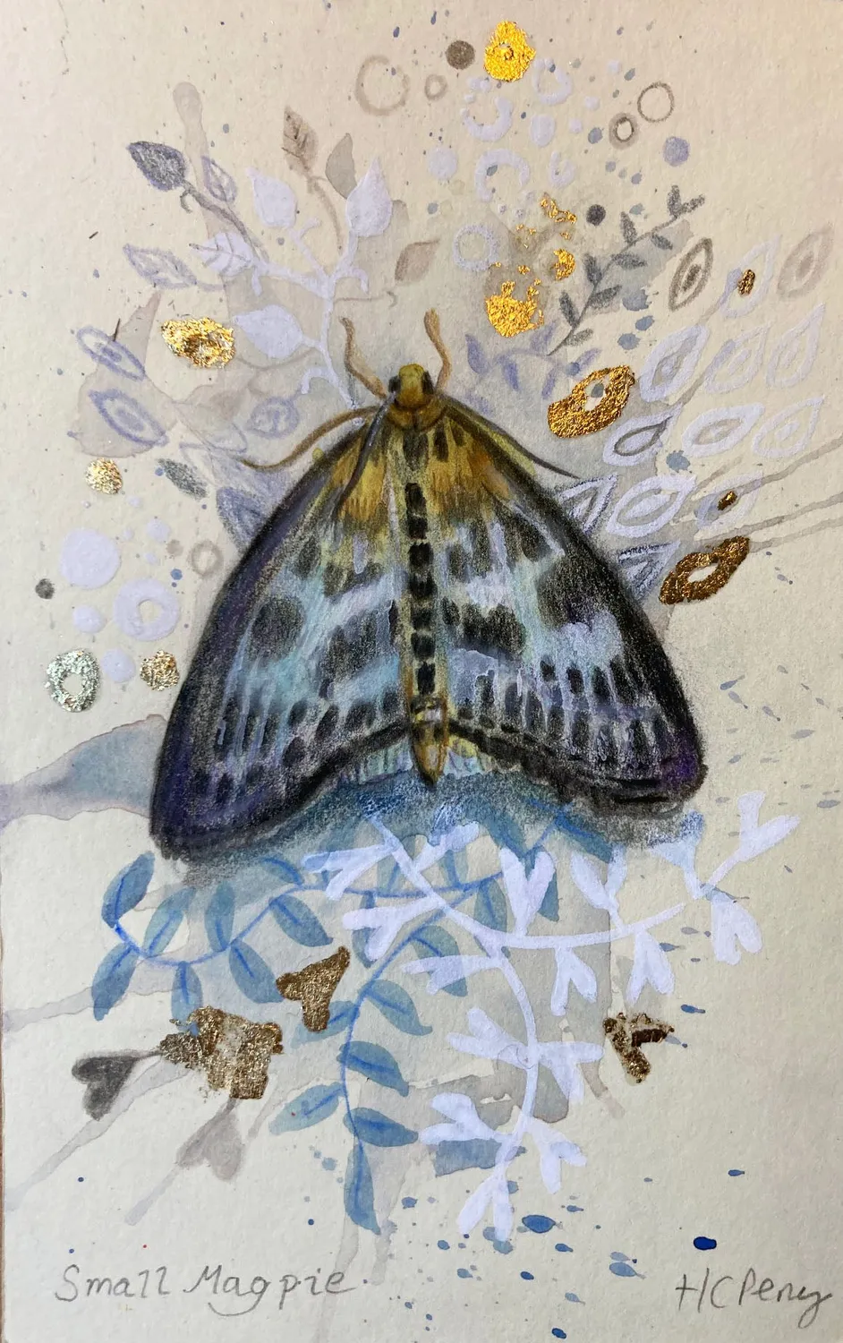 Helena Perry Small Magpie miniature aquarelle 8,5x13,5cm non encadrée