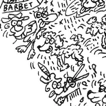 DrawInside Poodle affiche 20x20 caniche