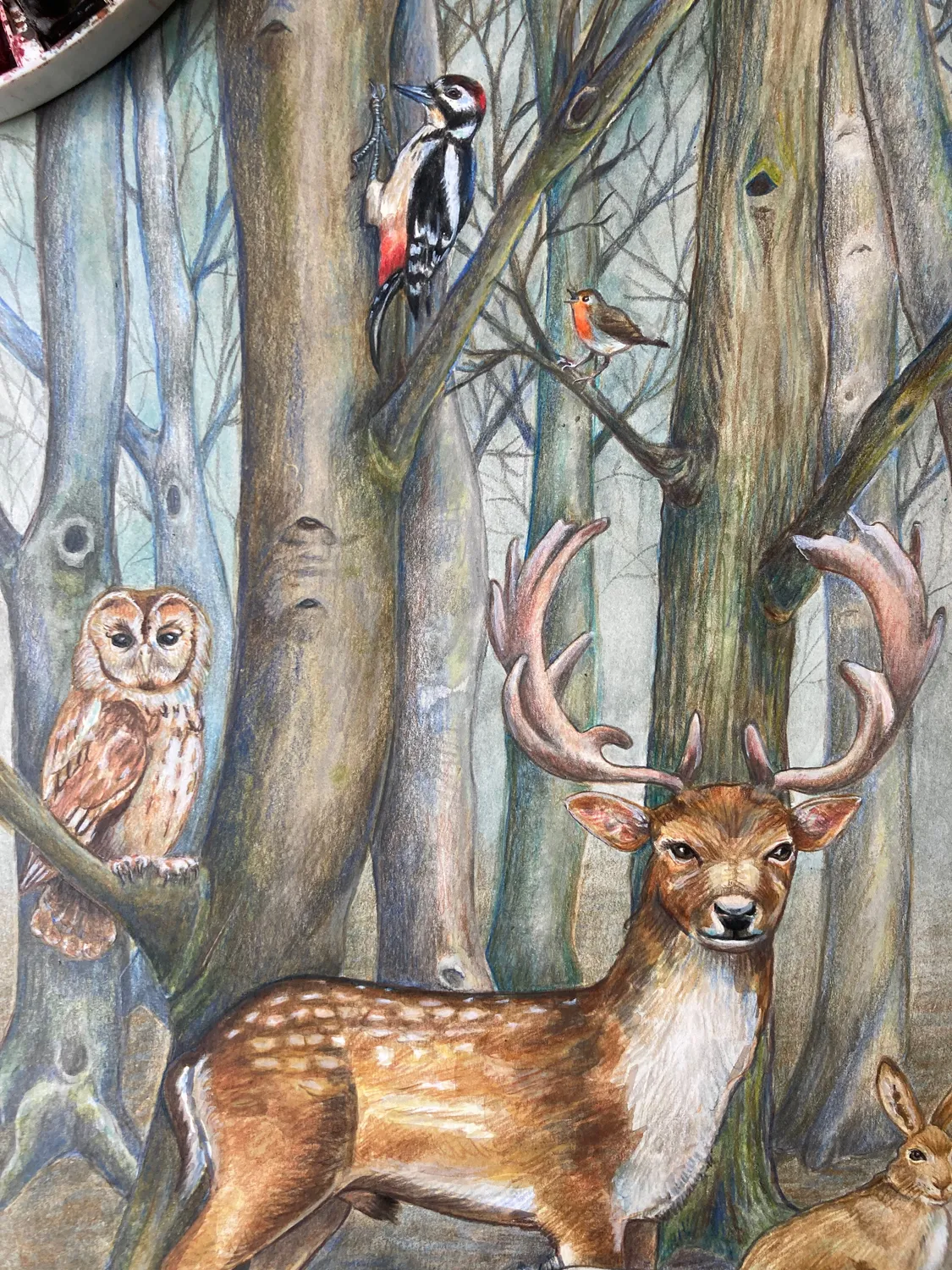 Helena Perry Whose Poo calendrier avent forêt