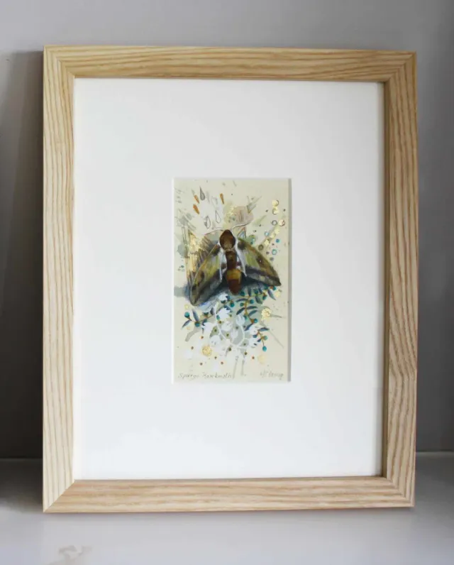 Helena Perry Spurge Hawkmoth miniature peinture 8,5x13,5