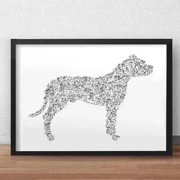 DrawInside Dogo Argentino affiche A4 chien blanc