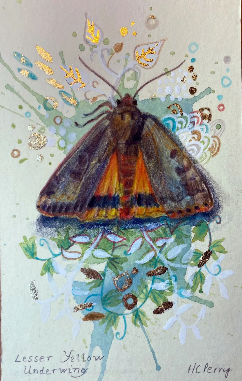 Helena Perry Lesser Yellow Underwing miniature 8,5x13,5