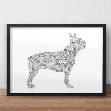 DrawInside Boston Terrier affiche A4 chien