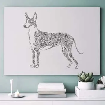 DrawInside Ibizan Hound Podenco affiche A4 21x30 cm chien