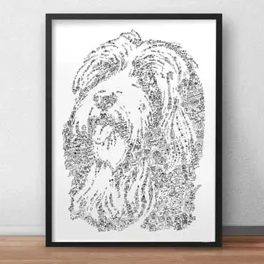 DrawInside Bearded Collie affiche A4 21x30 cm race Écosse