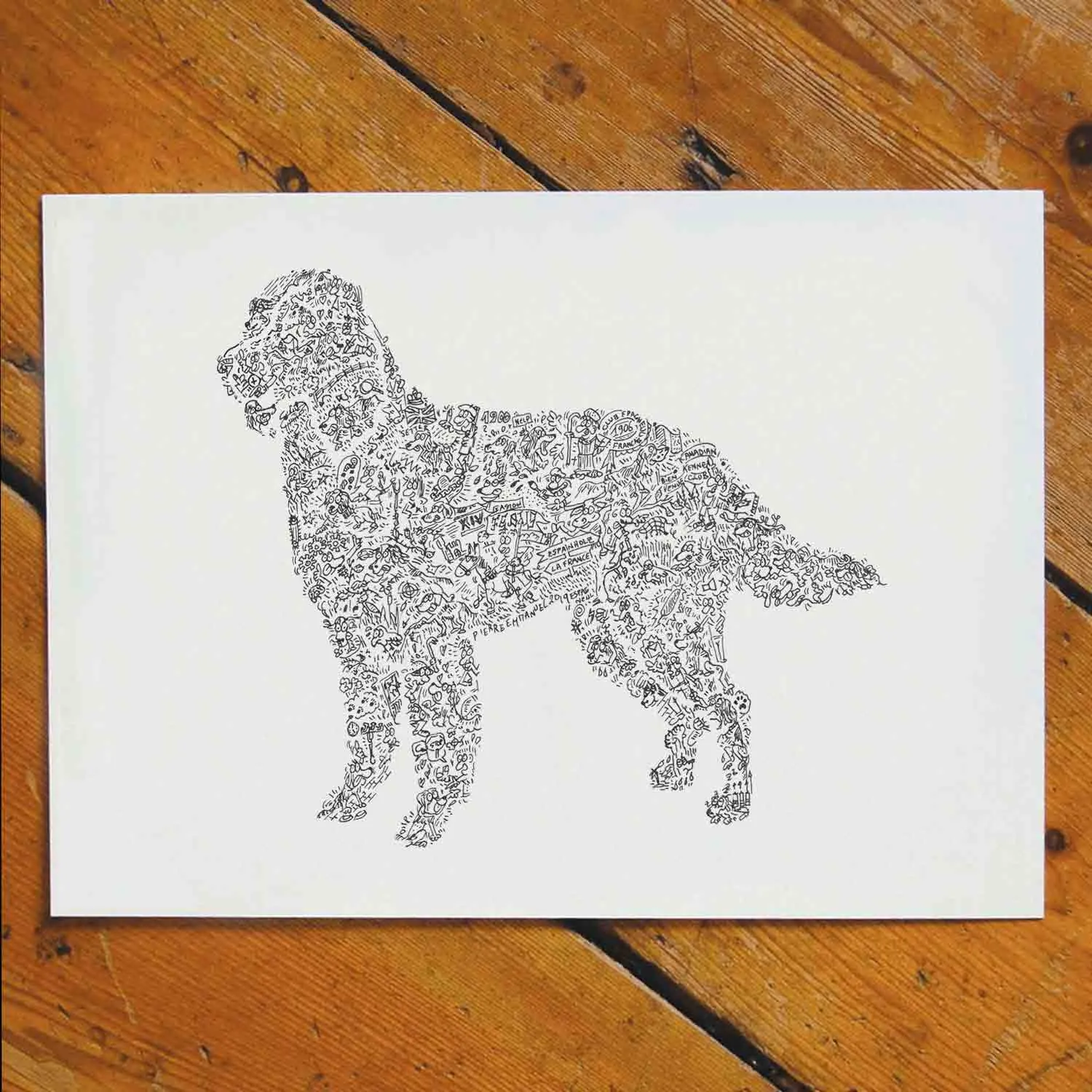 DrawInside Épagneul Français affiche A4 chien famille