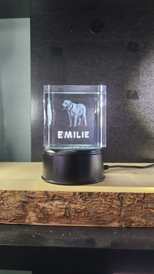 Le Digraphe Cristallin avec photos bloc cristal Large 8 cm gravure 3D