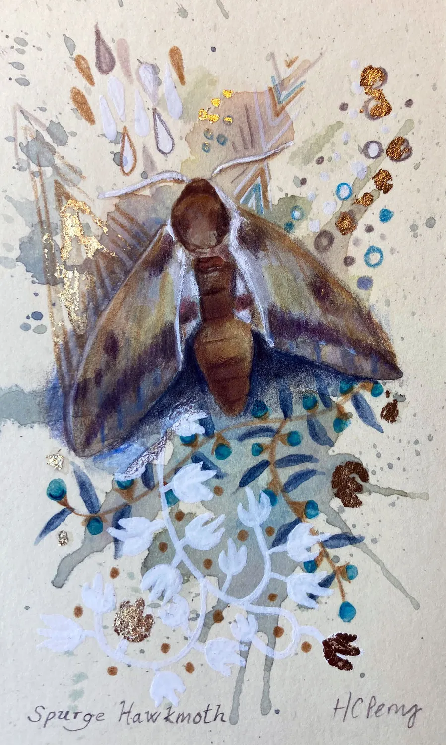 Helena Perry Spurge Hawkmoth miniature peinture 8,5x13,5