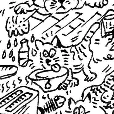 DrawInside Chat européen affiche A4 21x30 cm signée main