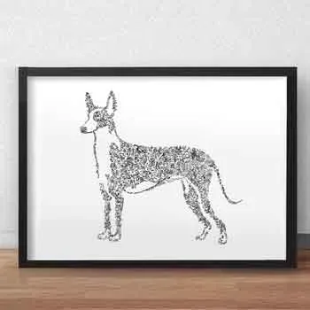 DrawInside Ibizan Hound Podenco affiche A4 21x30 cm chien