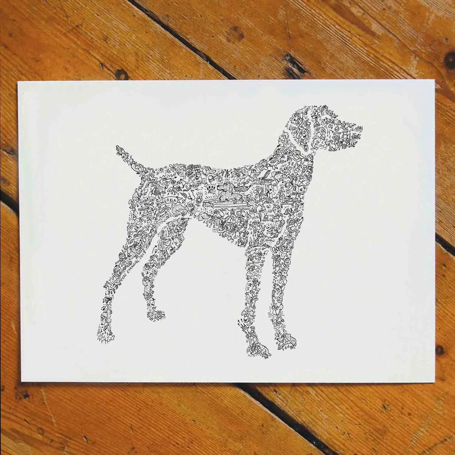 DrawInside Hungarian Vizsla affiche A4 chien velcro