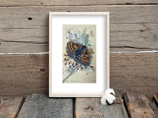 Helena Perry Mother Shipton miniature aquarelle 8,5x13,5 cm dorée