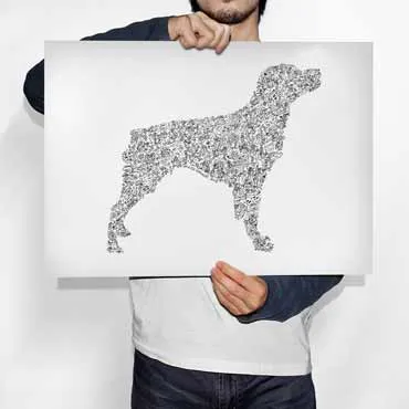DrawInside Epagneul Breton affiche A3 30x42 cm chasse