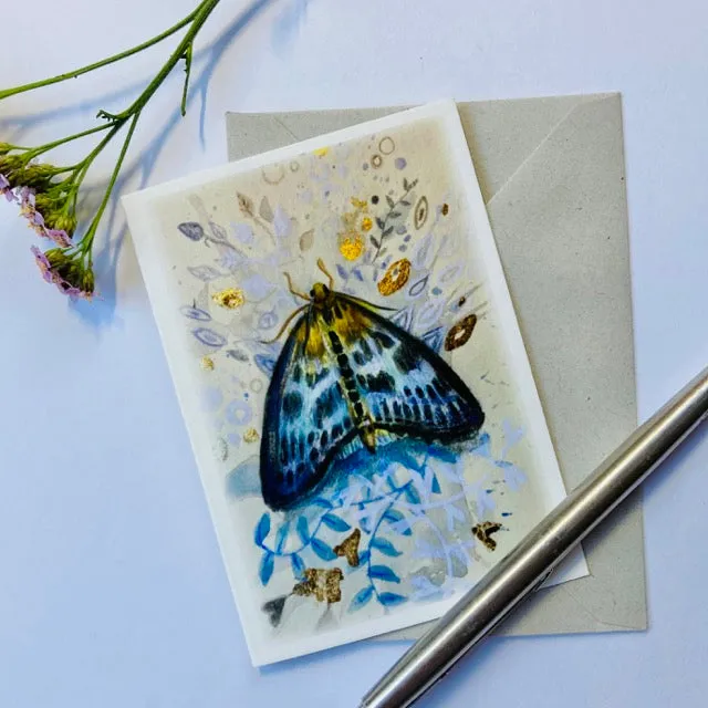 Helena Perry A7 Moth carte papillon petit format lot Cinnabar