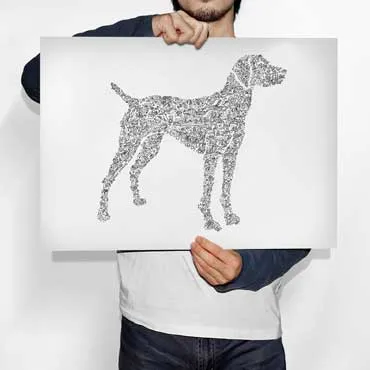 DrawInside Hungarian Vizsla affiche A4 chien velcro