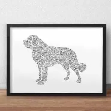 DrawInside Saint-Bernard affiche A3 papier mat