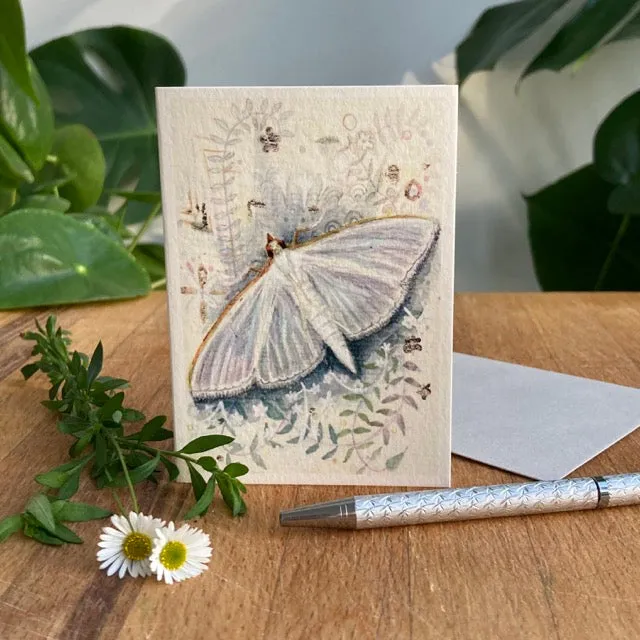 Helena Perry Moth cartes de vœux A7 lot de 5 papillons