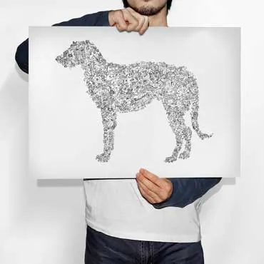DrawInside Irish Wolfhound affiche A4 21x30 cm chien