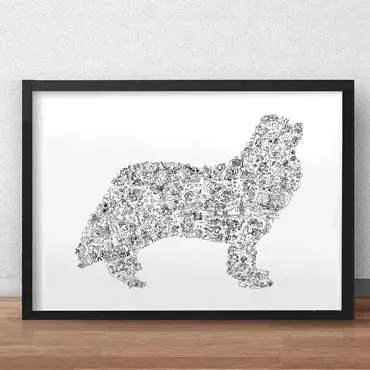 DrawInside Cavalier King Charles affiche A4 21x30 cm spaniel