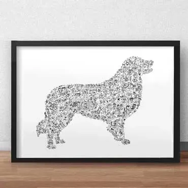 DrawInside Berger australien affiche A4 21x30 cm signée