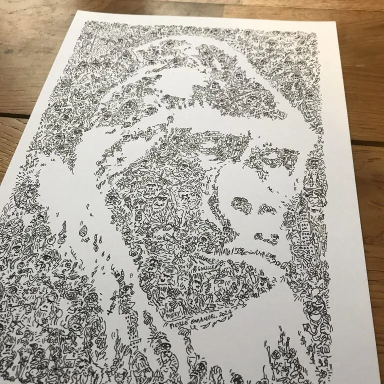 DrawInside Gorilla affiche A4 nature grand singe