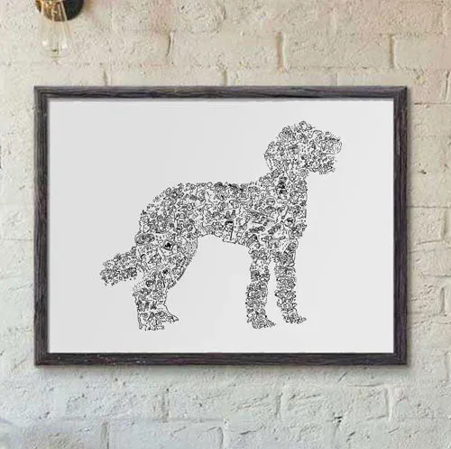 DrawInside Labradoodle affiche A4 21x30 cm chien