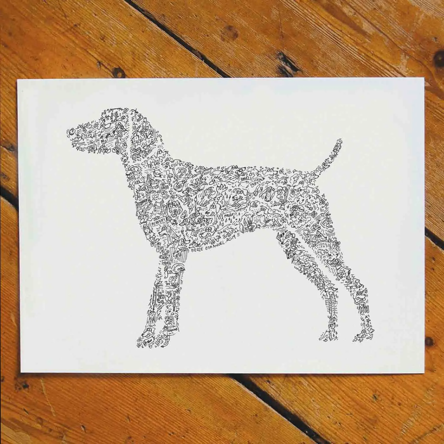 DrawInside German Shorthaired Pointer GSP affiche A4 mat