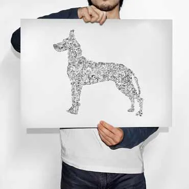 DrawInside Dogue Allemand affiche A4 21x30 cm grand danois