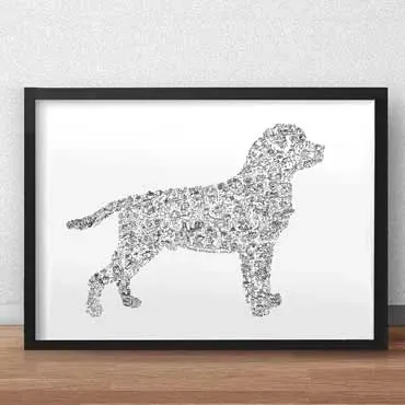 DrawInside Rottweiler affiche A4 21x30 cm queue longue