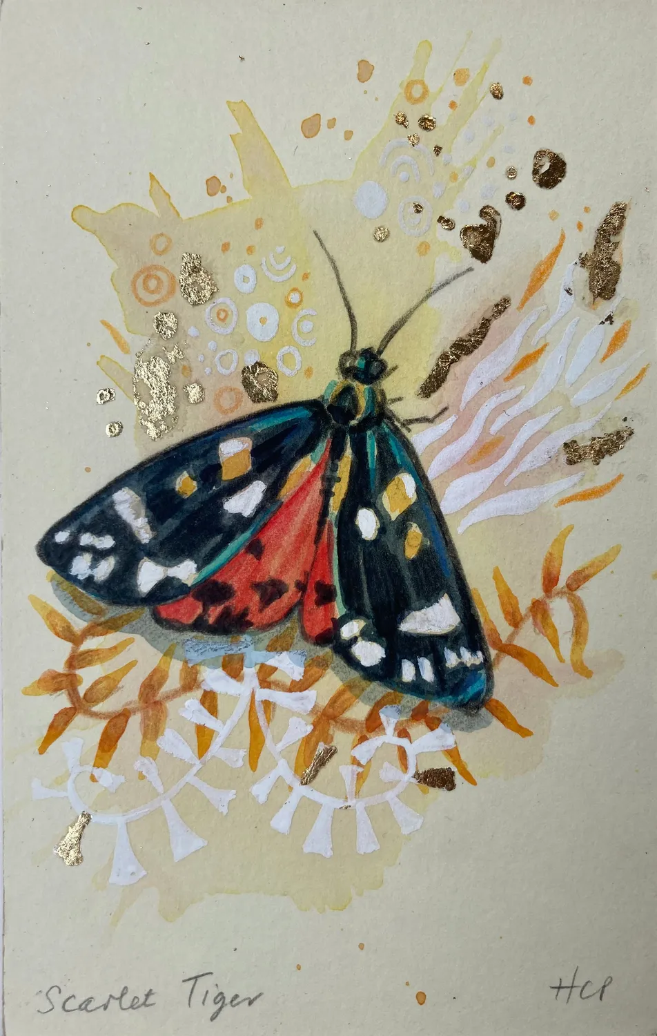 Helena Perry Scarlet Tiger miniature 8,5x13,5cm non encadrée