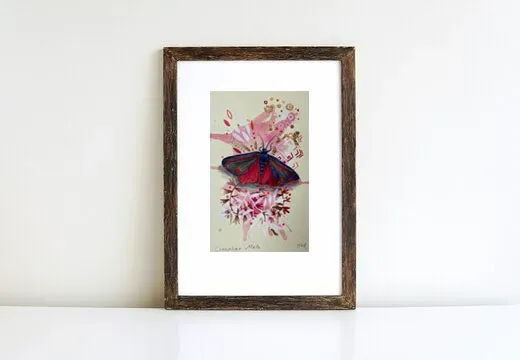 Helena Perry Cinnabar Moth miniature 8,5x13,5cm non encadrée