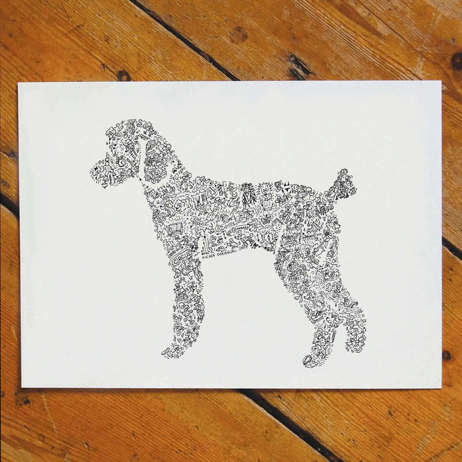 DrawInside Poodle affiche 20x20 caniche