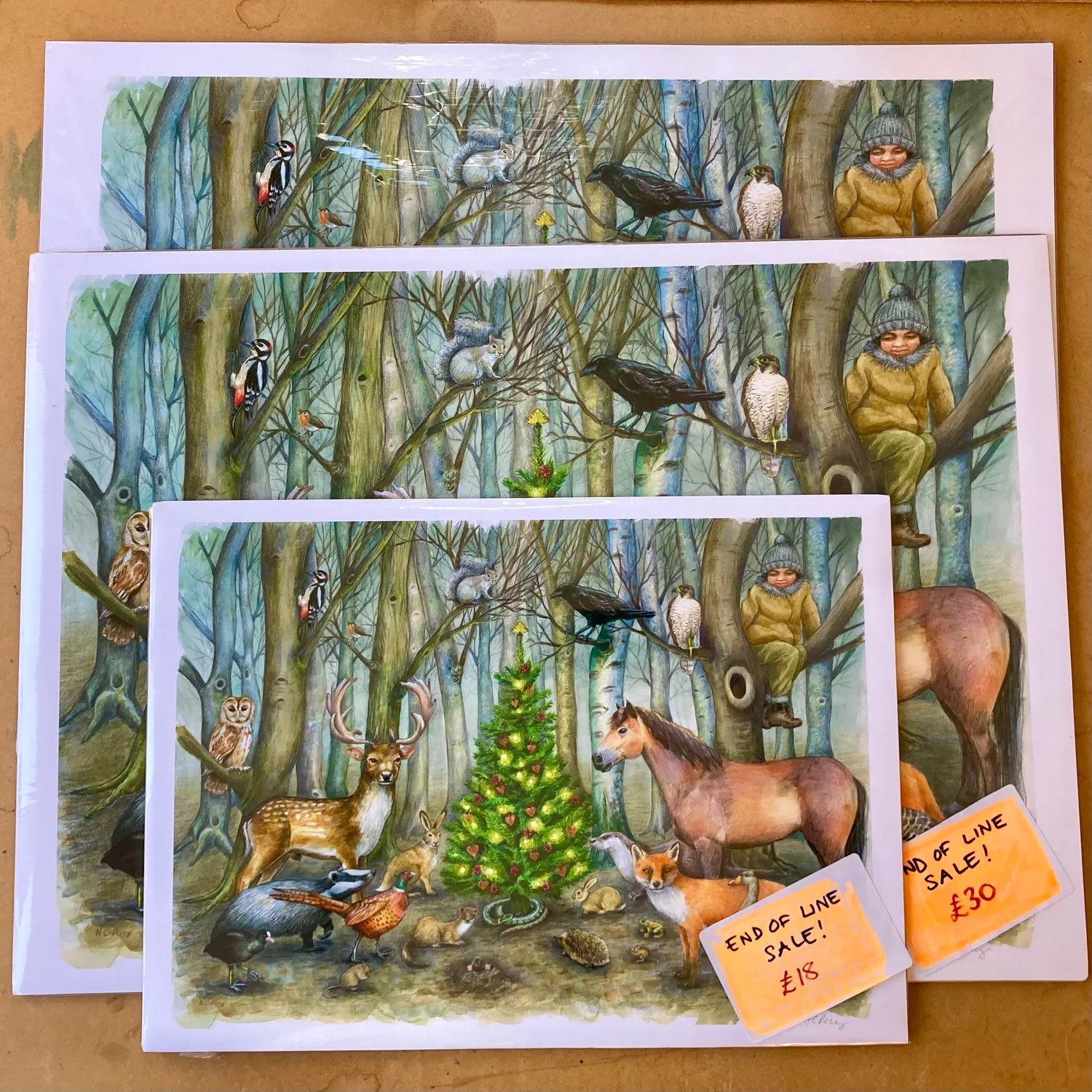Helena Perry Woodland Scene tirage A3 25 espèces forêt