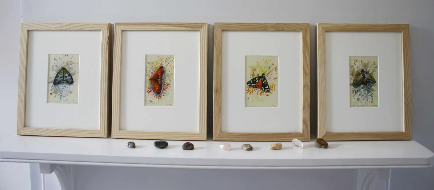 Helena Perry Spurge Hawkmoth miniature peinture 8,5x13,5