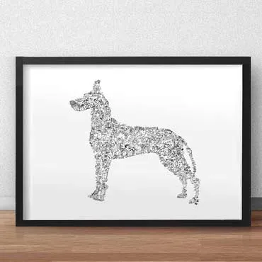 DrawInside Dogue Allemand affiche A4 21x30 cm grand danois