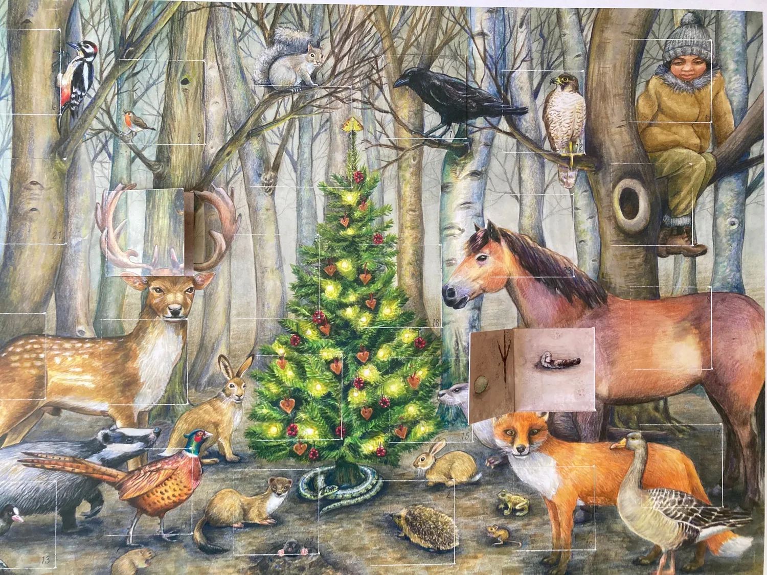 Helena Perry Whose Poo calendrier avent forêt