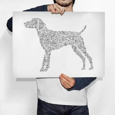 DrawInside German Shorthaired Pointer GSP affiche A4 mat