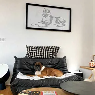 DrawInside Boxer affiche A3 chien famille